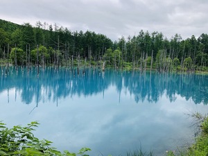 青い池.JPG