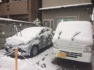 １月２１日大雪.jpg